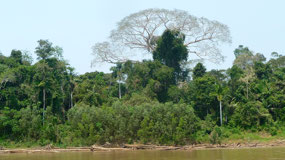 Manu Nationalpark