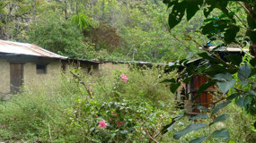 Salkantay Treck