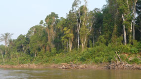 Manu Nationalpark