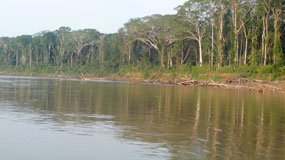 Manu Nationalpark