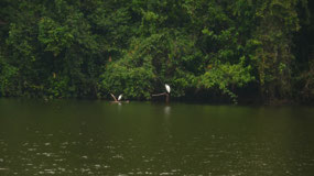 Manu Nationalpark