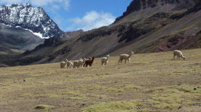 Rainbow Mountain