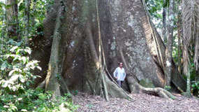 Manu Nationalpark
