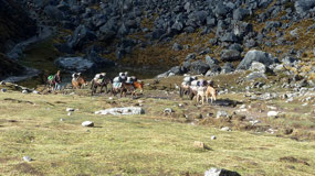 Salkantay Treck