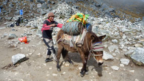 Salkantay Treck