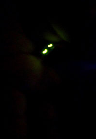 was ist das?