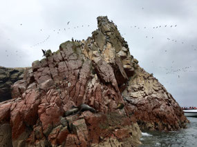 Ballestas - Inseln