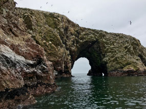 Ballestas - Inseln