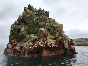 Ballestas - Inseln