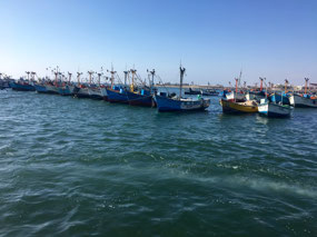 Halbinsel Paracas