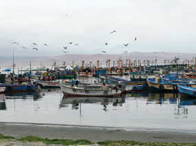 Paracas