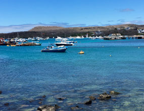 Galapagos