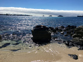 Galapagos