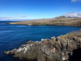 Galapagos