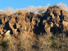 Galapagos