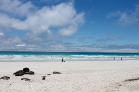 Galapagos