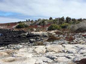 Galapagos