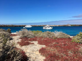Galapagos