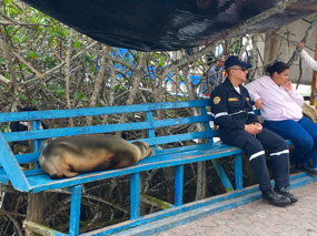 Galapagos