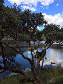 Nationalpark Caja