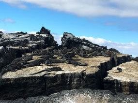 Galapagos