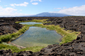 Galapagos
