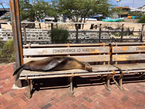 Galapagos