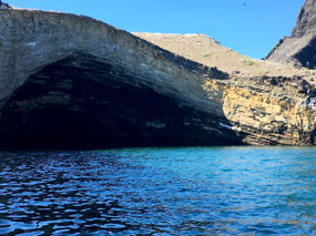 Galapagos