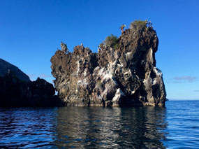 Galapagos