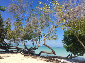 Playa Baru