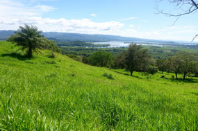 Exkursion Las Lajas