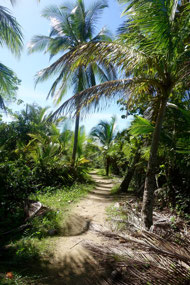 Bocas del Toro