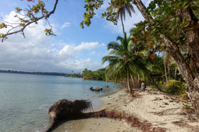 Bocas del Toro