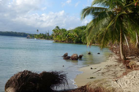 Bocas del Toro