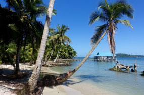 Bocas del Toro