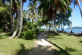 Bocas del Toro