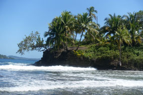 Bocas del Toro