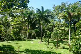 Bocas del Toro