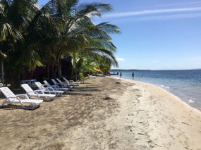 Bocas del Toro