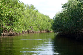 Isla Juan Venado