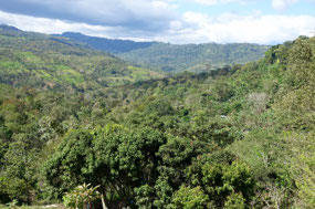 rund um Matagalpa
