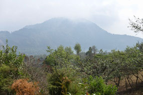 Volcano Pacaya