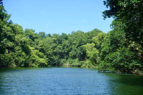 Laguna im NP Jeannette Kawas