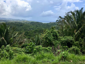 Isla Roatan
