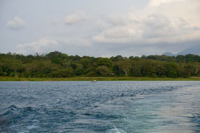 Lago de Yojoa
