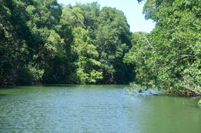 Laguna im NP Jeannette Kawa
