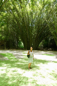 Lancetilla Jardín Botanica