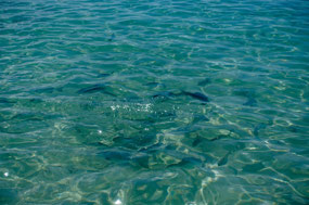 Isla Roatan