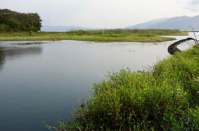 Lago de Yojoa