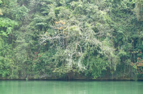 Rio Dulce
